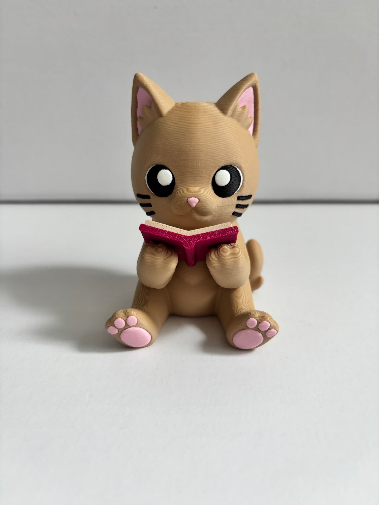 Cat Reading Book
